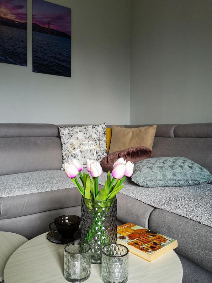 Apartman Jela Nova Varoš Εξωτερικό φωτογραφία