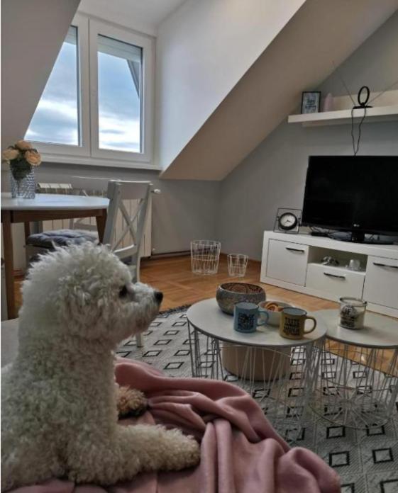Apartman Jela Nova Varoš Εξωτερικό φωτογραφία