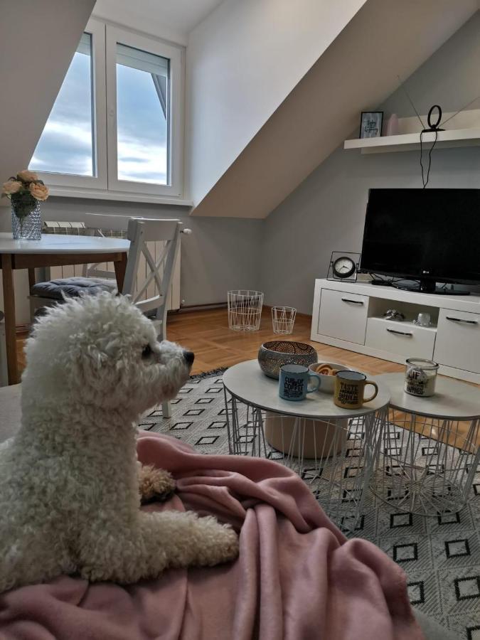 Apartman Jela Nova Varoš Εξωτερικό φωτογραφία